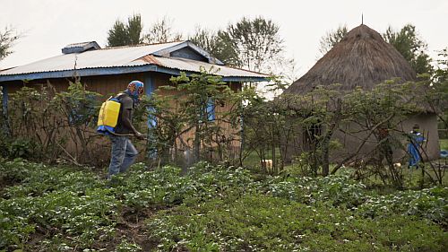 Pesticide use not sustainable for Kenya