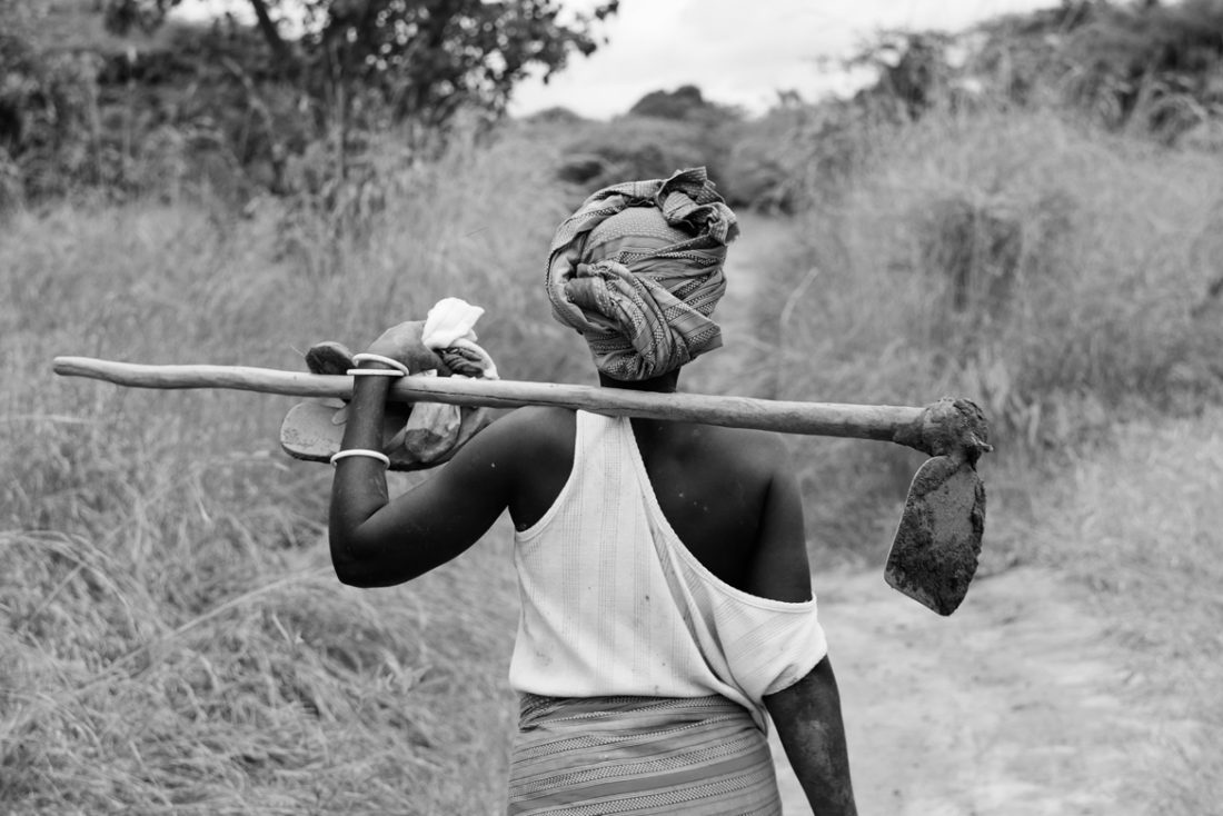 Farmer