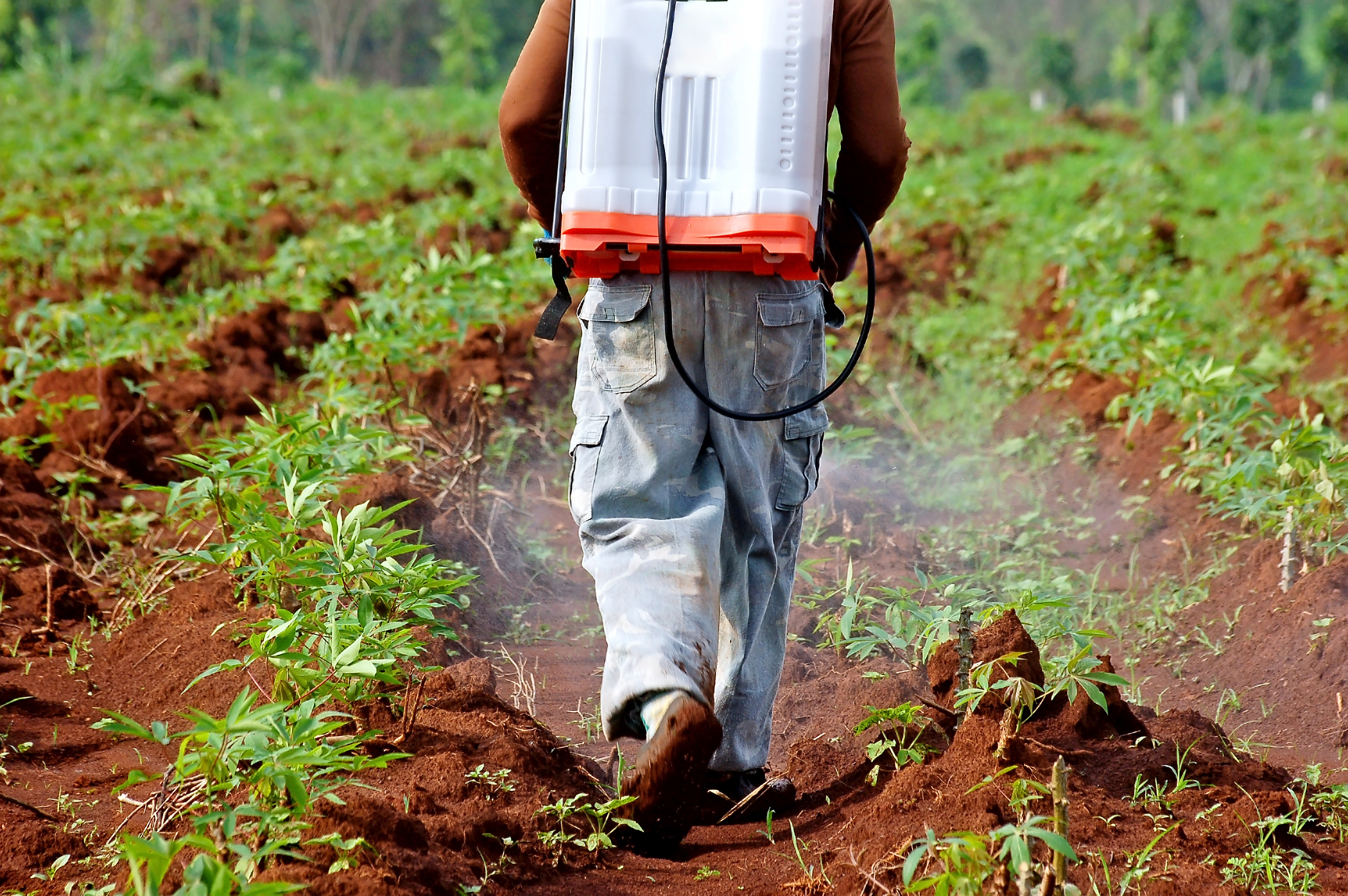 Pesticides spraying Pesticides spraying