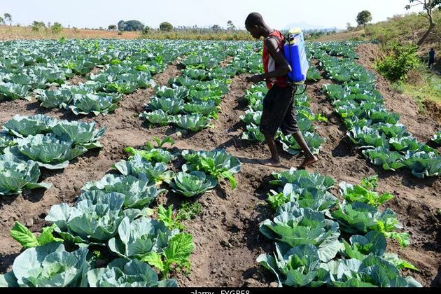 Only 1 in 6 farmers wear protective gear