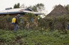 Pesticides in Kenya: What’s at stake?
