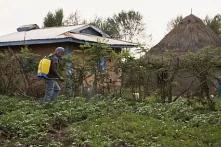 Pesticide use not sustainable for Kenya