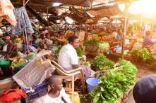 Food market