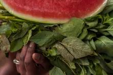 Cha KulaJan 2020.png