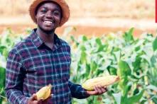 Image by Route to Food Initiative