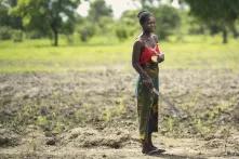 Agro ecology and Feminism