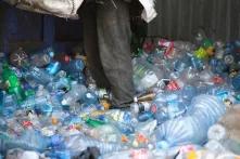 Plastic bags menace: 