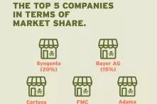 Top 5 companies in the market share 