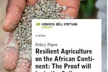 Policy brief on Green Fertilizers 