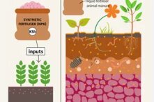 Figure 1| Policies| Beyond Fertilizers 