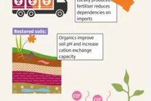 Alternatives | organic fertilizers 