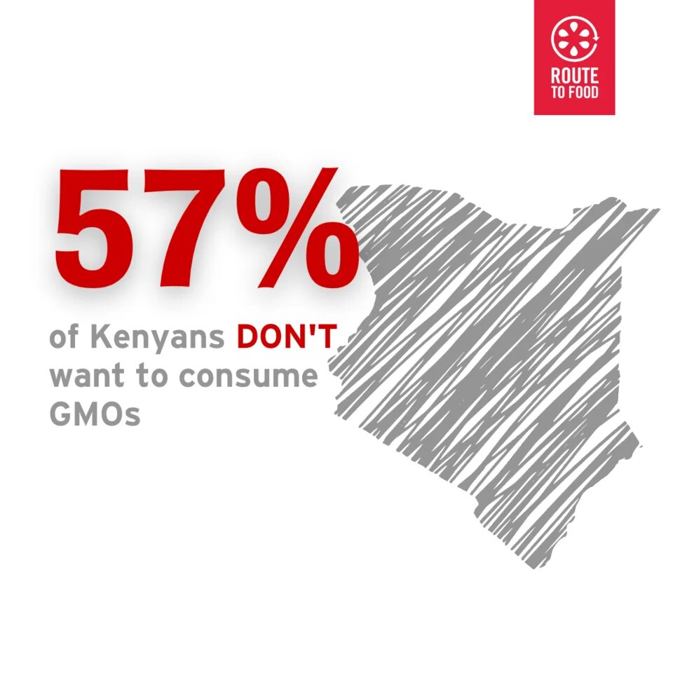 57 of Kenyans do not want GMO