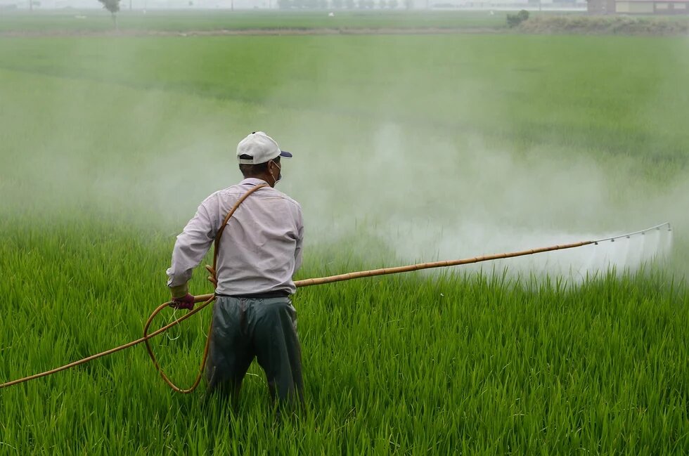 pesticide-spraying 