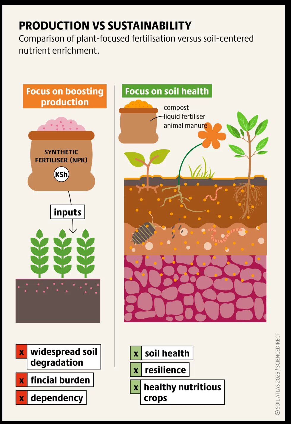 Figure 1| Policies| Beyond Fertilizers 