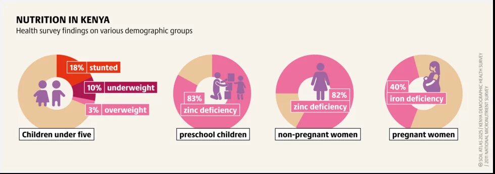 Missing link | Nutrition In Kenya