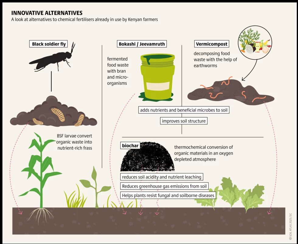 Figure 2: Innovate alternatives 