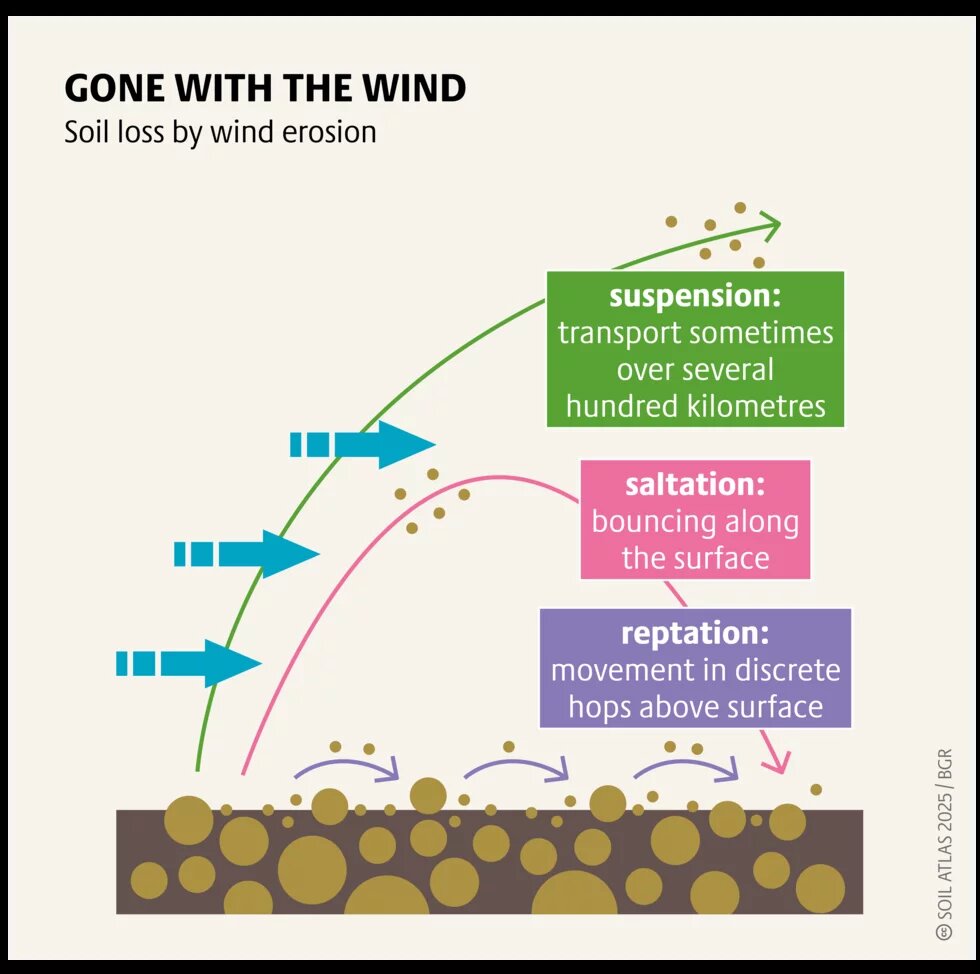 Figure 3: Soil Degradation_gone with the wind