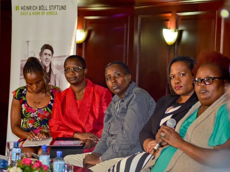 Panel at the Gender Forum 27th February on Sexual based violence