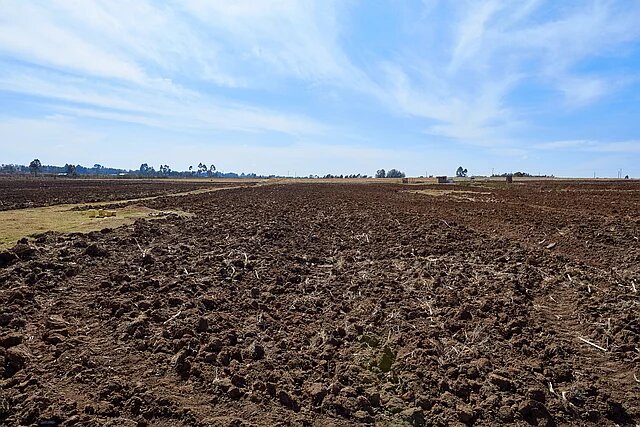 Challenges in implementing a Right to Food framework in Kenya