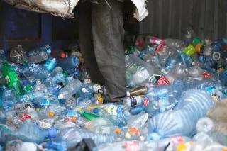 Plastic bags menace: Plastic bags menace: