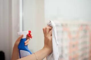 Domestic worker Domestic worker