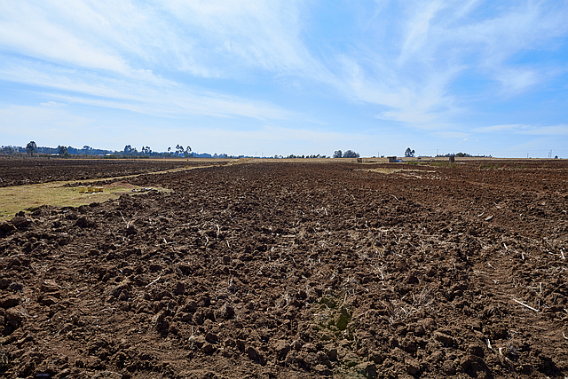 Challenges in implementing a Right to Food framework in Kenya